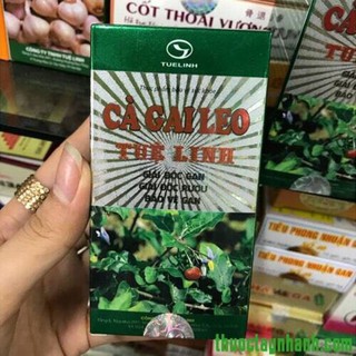 Cà gai leo tuệ linh