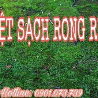 BỘT DIỆT RONG RÊU, NẤM MỐC