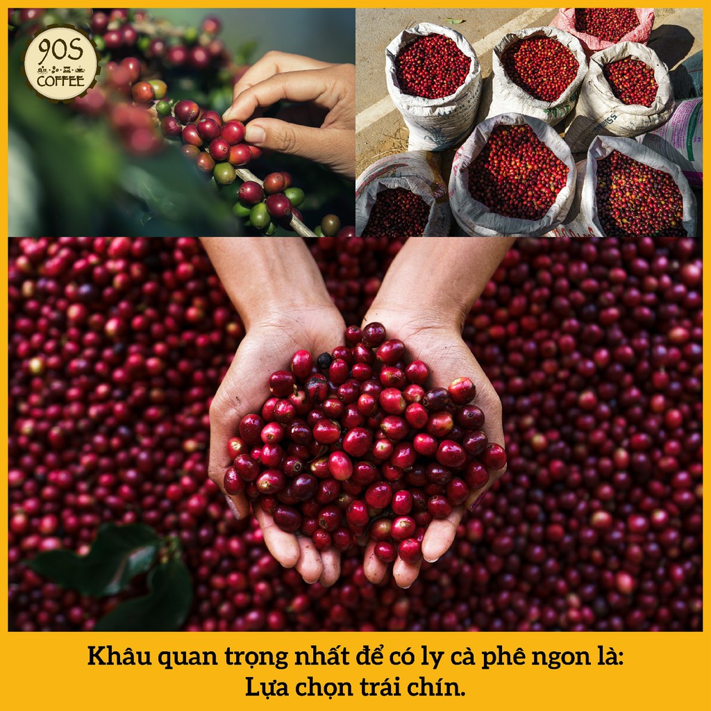 [HOT] Túi  250Gr Cà Phê Moka Cầu Đất Nguyên Chất Rang Mộc | 100% Cà Phê Sạch | 90S Coffee Vietnam | BigBuy360 - bigbuy360.vn