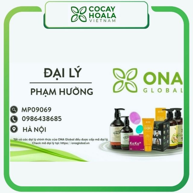 Sữa tắm thảo dược thiên nhiên gừng nghệ Cỏ Cây Hoa Lá. Dưỡng ẩm, trắng da, tránh gió 300g