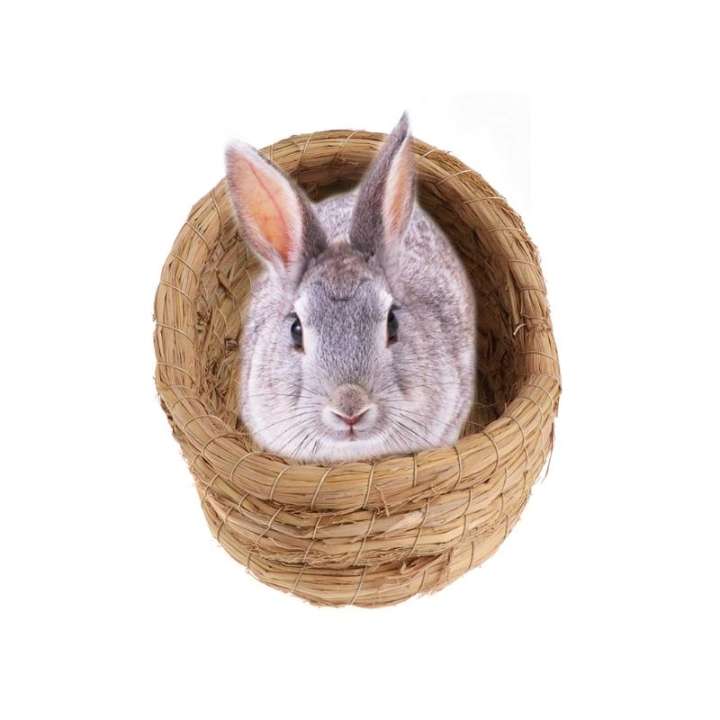 Ổ Cho Thú Cưng Bán Chạy Nhất Dệt Rơm Tự Nhiên Hamster THỎ Lợn Guinea Ngôi Nhà Ấm Cúng Handmade Lồng Thêm Kích Thước-168