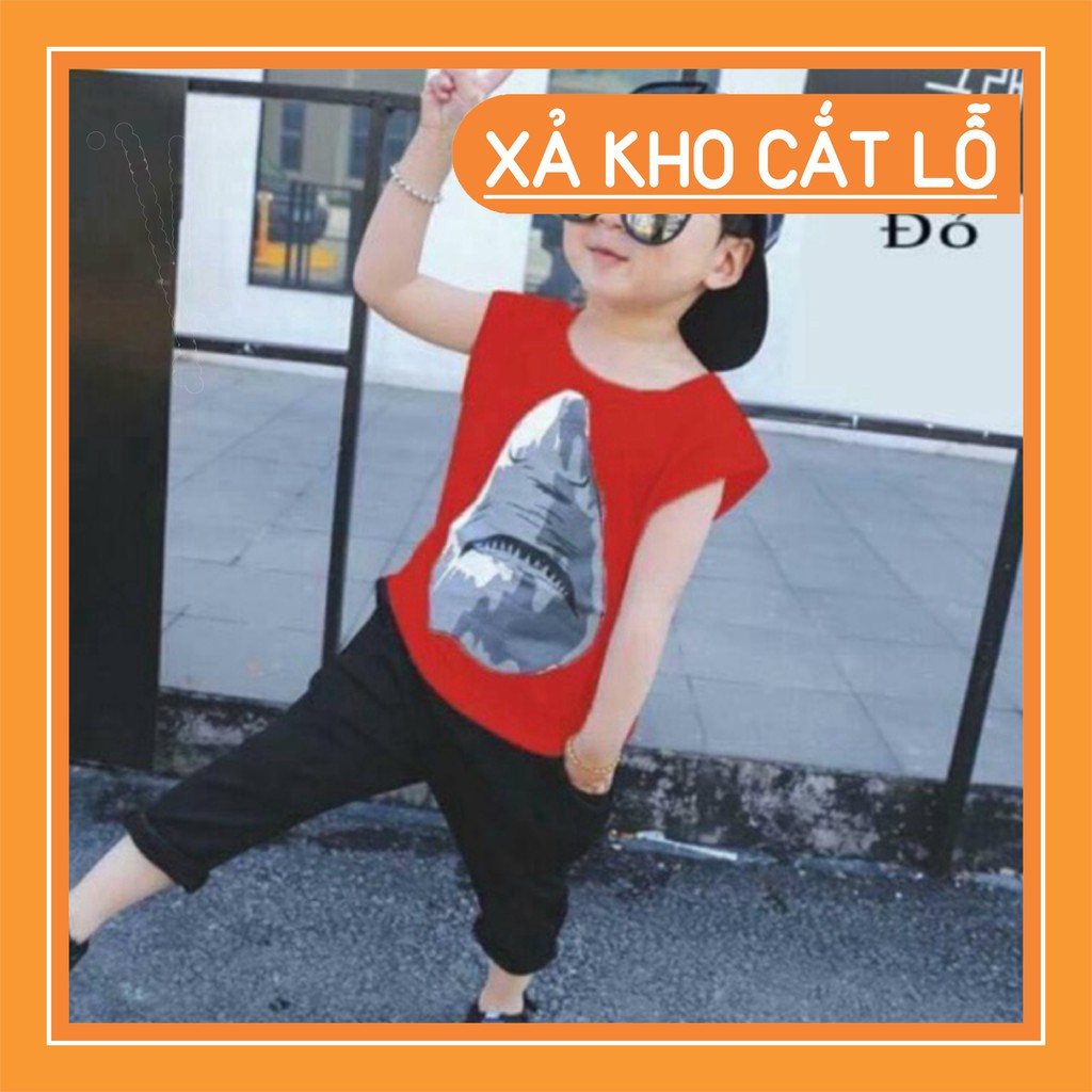 Quần áo sale sốc- Quần áo thu đông, hình cá mập, vải dày dặn, mềm mịn-hàng cao cấp bán shop-Form chuẩn, đẹp