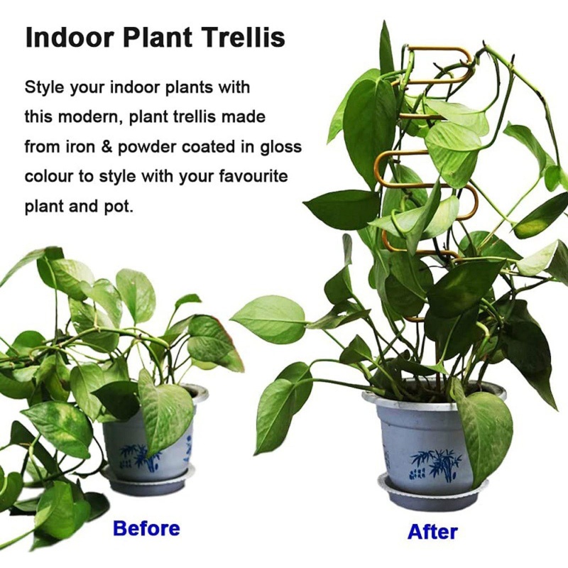 Giá Đỡ Cây Dây Leo Bằng Kim Loại Thiết Kế Hình Học Sáng Tạo