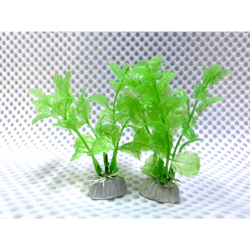Cây nhựa trang trí Cho Ốc Leo Cao 10cm