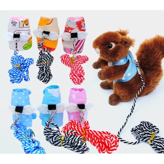 Dây yếm đi chơi cho Sóc đất - Sóc bông trên 2 tháng (Màu ngẫu nhiên)