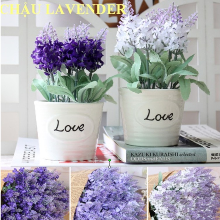 Combo 2 chậu sứ love lavender nhỏ để bàn ( đọc kỹ thông tin sản phẩm)