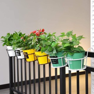 Giỏ treo treo chậu hoa, cây cảnh ban công