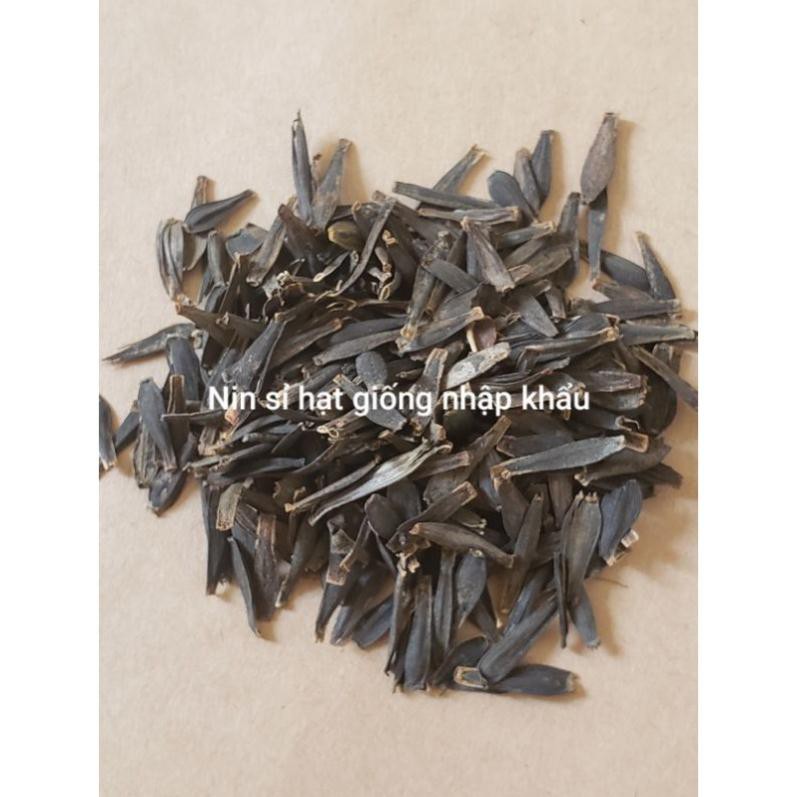 Hạt giống Hoa Thược Dược Bụi Kép Mix Màu