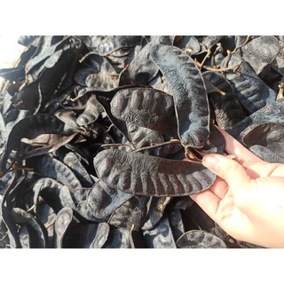 BỒ KẾT KHÔ 500G