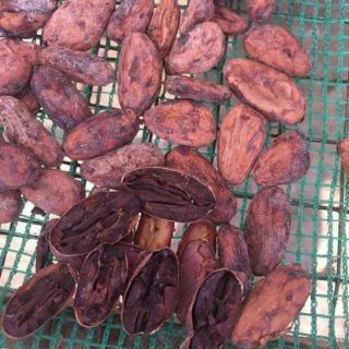 Bột ca cao nguyên chất