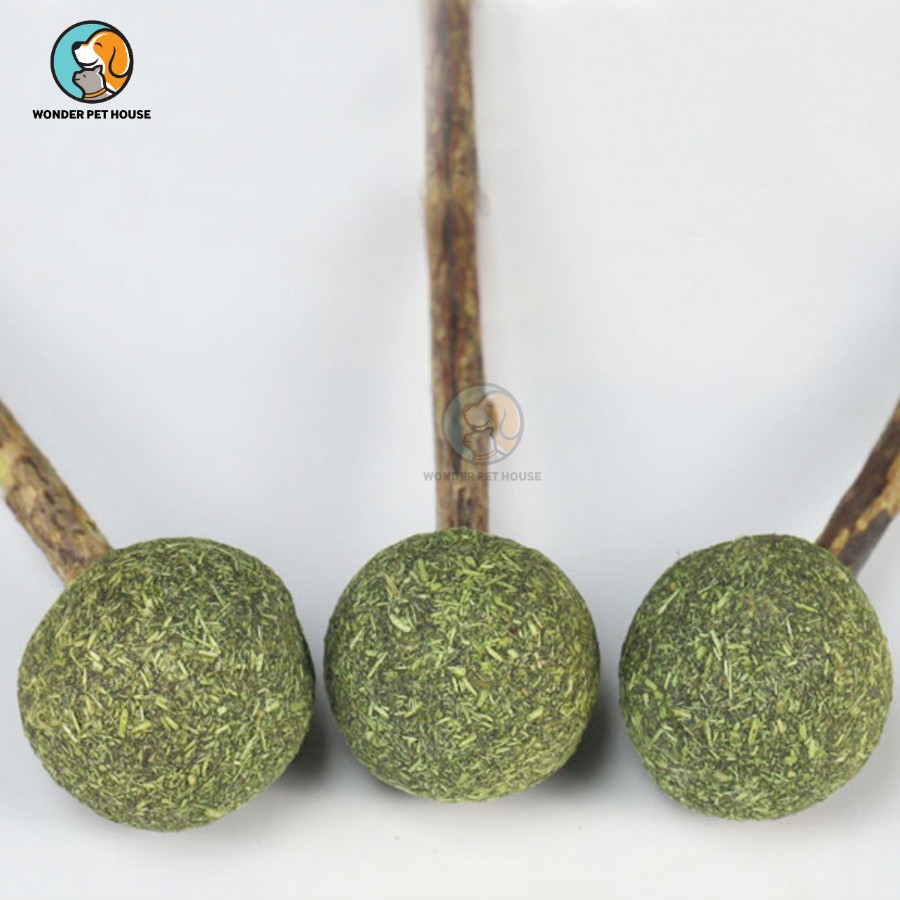 Kẹo Catnip Cây Gỗ Thơm Ngon Dành Cho Mèo