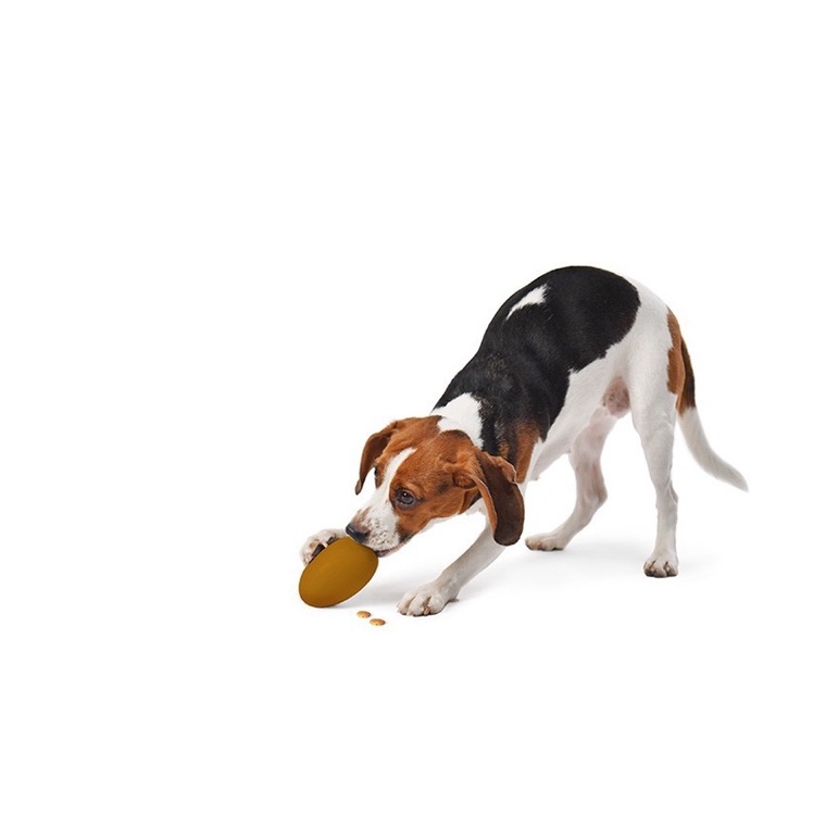 Đồ chơi huấn luyện Petkit dành cho chó