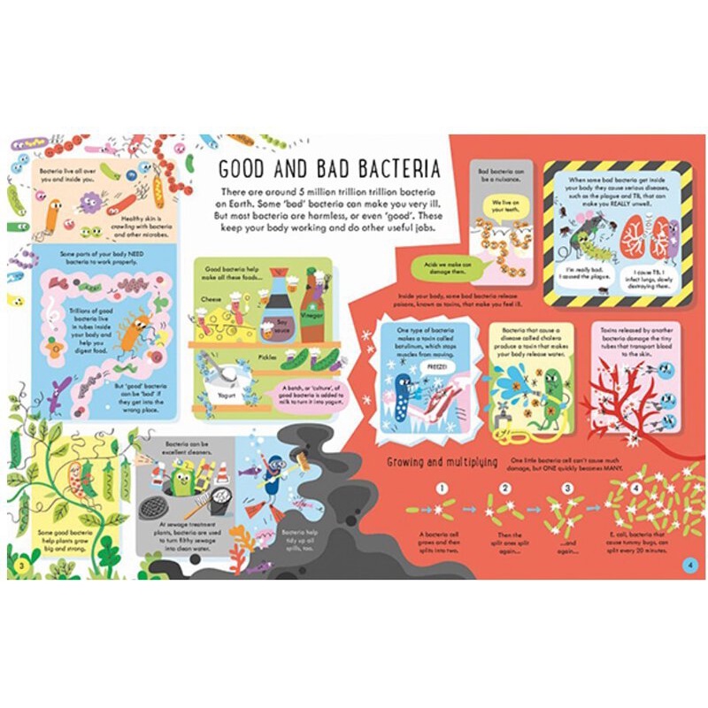 Sách Usborne - tương tác lật mở SEE INSIDE GERMS