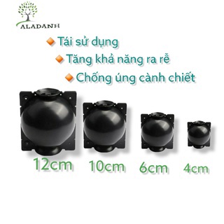 bầu chiết cành hoa hồng cao cấp, chiết cành cỡ gấp đôi đầu đũa, tái sử dụng