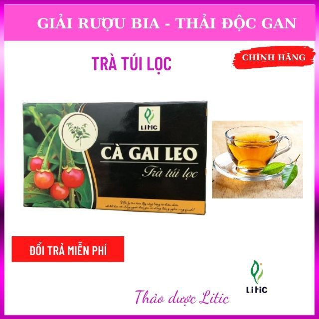 Trà túi lọc Cà Gai Leo Litc 150g - Hỗ trợ bảo vệ lá Gan cho cả gia đình bạn , mát gan, giải rượu, chống nhiệt miệng LTCG