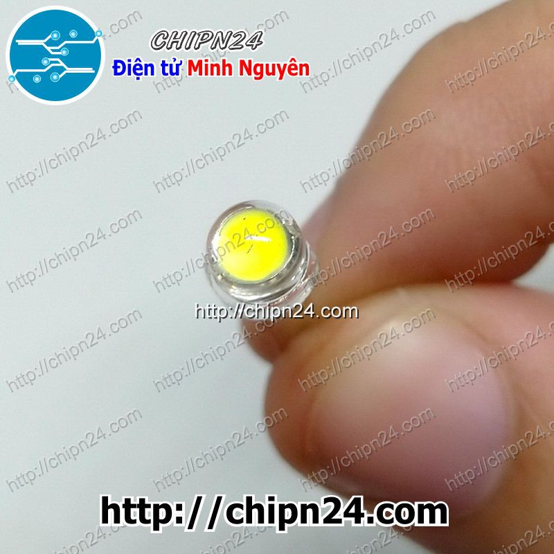 [10 CON] (TK1) Led 5mm Lùn TRẮNG (Tim Lớn)