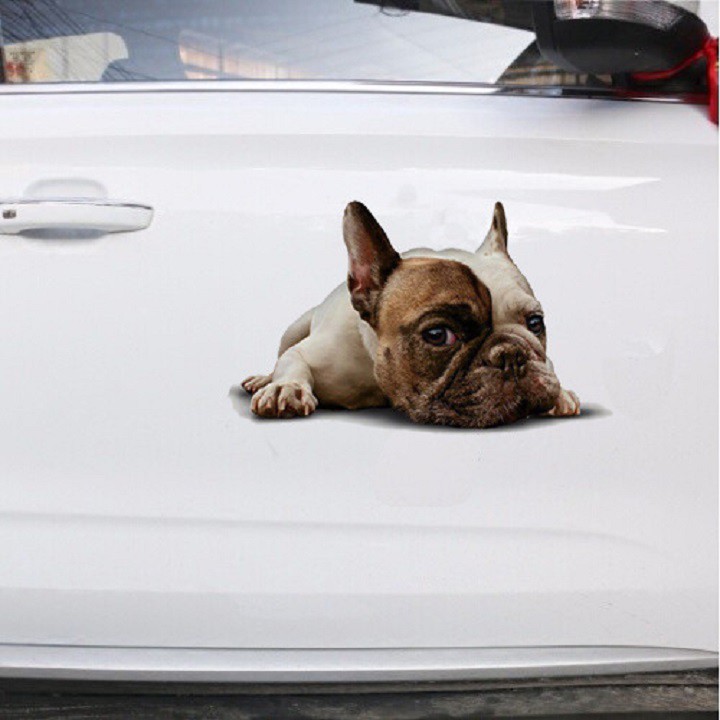Decal dán ô tô dán tường dán kính chó pug mặt xệ dễ thương
