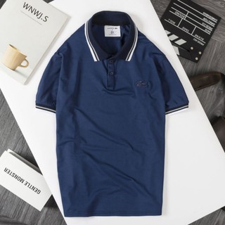 combo 10 áo cá sấu nam