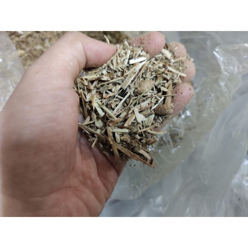 Gói 9 loại gai xông tắm xả xui xông phong thủy đại cát đại lợi