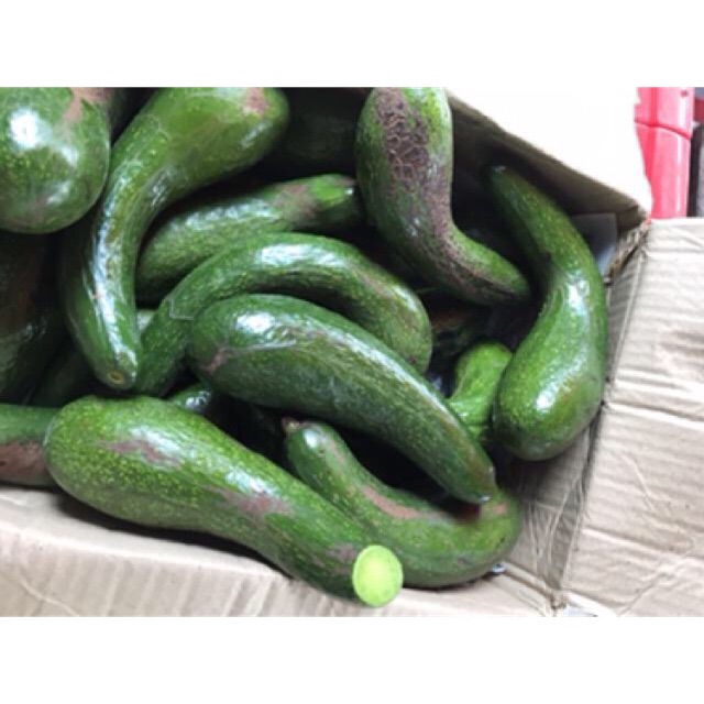 Sỉ 5kg Bơ Sáp 034 size 3-4,5 - Bao già, bao dẻo