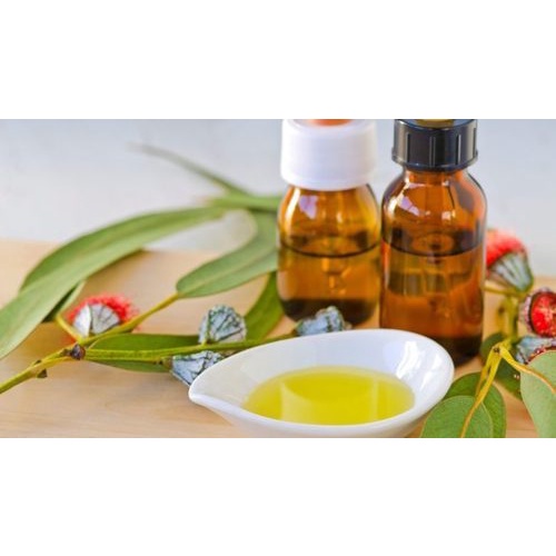 Tinh Dầu Bạch Đàn Chanh Organic  10ml