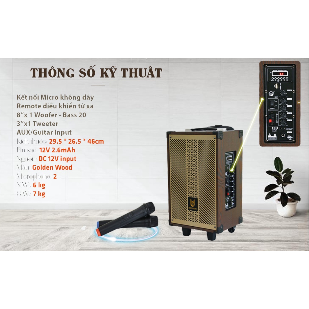 Loa Kéo Di Động BD-9080 Bluetooth Cao Cấp, Nhỏ gọn Bass 20cm, Công Suất 30W Sản phẩm có kích thước nhỏ gọn công xuất lớn
