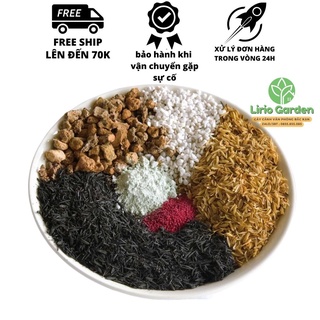 Đất trồng cây cảnh  xương rồng , sen đá mix các loại