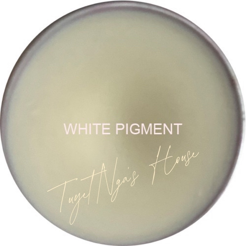 Titan white pigment-siêu mịn tinh khiết chuẩn tone