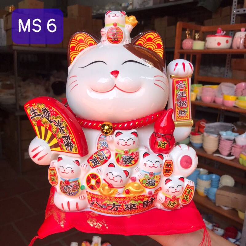 Tổng hợp những mẫu mèo hot nhất hiện nay