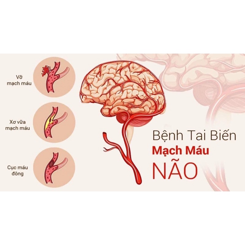 An Cung Ngưu Hoàng Hoàn Kwangdong Nội Địa Hàn Quốc Hộp Đỏ ANCUNGNGUU20006