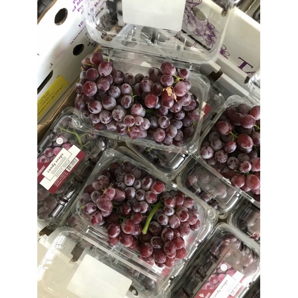 Ship nhanh - Nho kẹo Anthony hộp hơn 550g