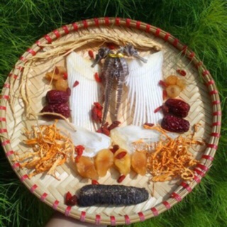 [Mã GROSALE2703 giảm 8% đơn 250K] Bộ ngâm rượu 11 vị từ biển ( Vi_ca.tắc kè. Sao biển. Hải long. Hải sâm. Cá ngựa...)