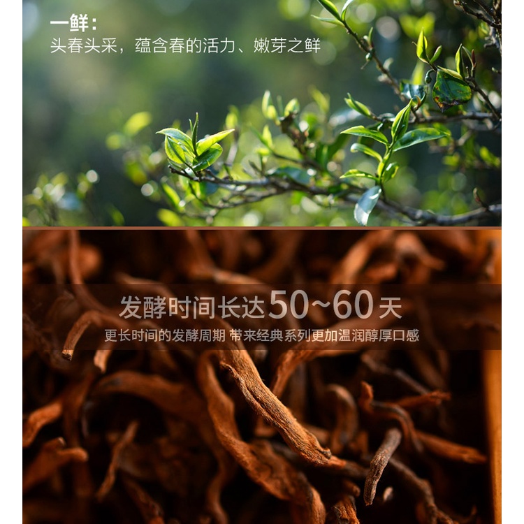 BÁNH TRÀ PHỔ NHĨ CHÍN VÂN NAM 357 GRAM NĂM 2014