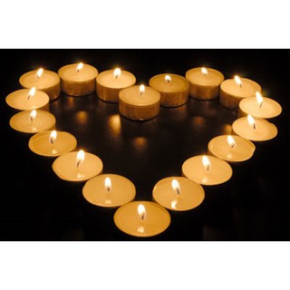 Nến Đốt Đèn Xông Tinh Dầu, Nến Tealight Sáp Cọ Palm, Nến Trang Trsi , Nến Sinh Nhât không màu, không mùi