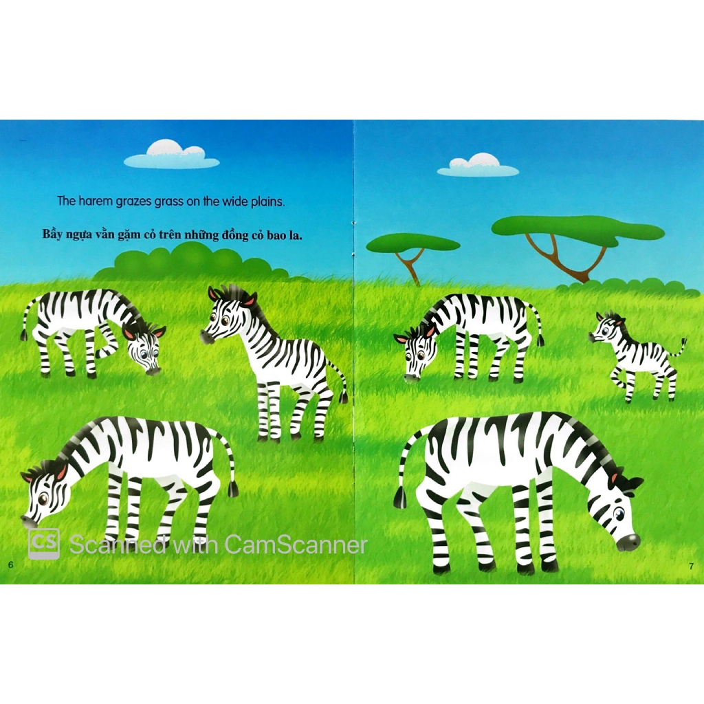 Sách - Những Câu Chuyện Về Thế Giới Động Vật - Tớ Là Một Chú Ngựa Vằn - I Am A Zebra (Song Ngữ Anh-Việt)