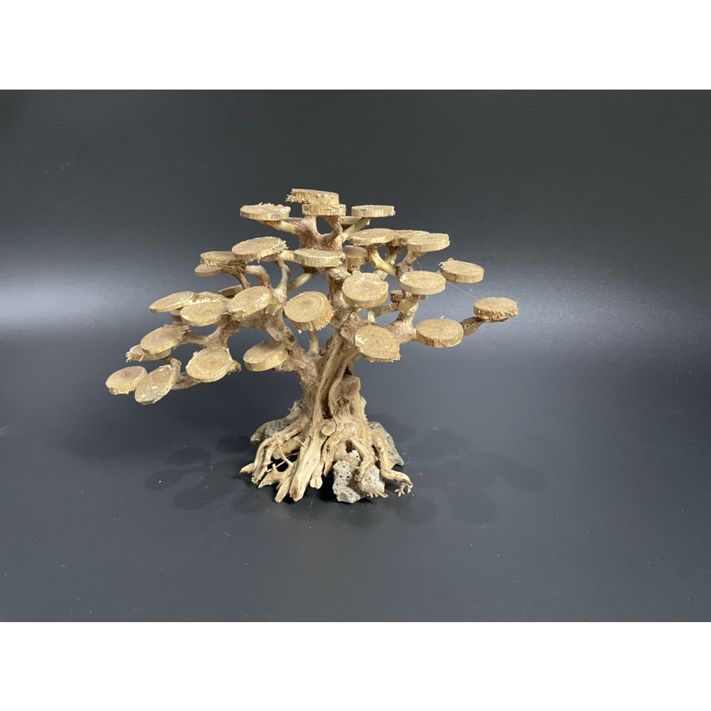 Lũa Bonsai, Lũa thủy sinh dùng trang trí hồ cá cảnh, hồ thủy sinh, văn phòng, nhà cửa