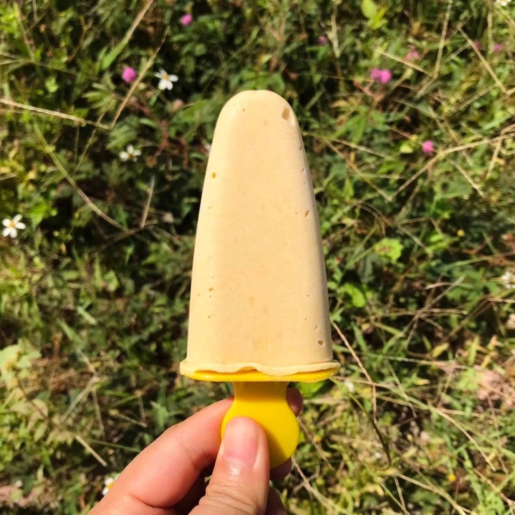 Men Sữa Chua Thuần Chay - 5gr