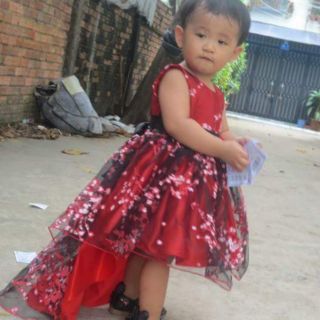 Đầm đào có đuôi bé 12kg