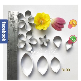 Set khuôn mai cánh liền và rời