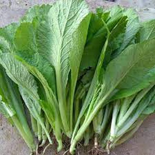 Hạt giống Cải Mơ 20gr ~4000 Hạt