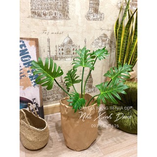 CÂY GIẢ-CÂY CHÂN VỊT 45CM KÈM CHẬU