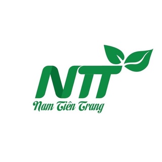 Hạt giống hoa Bìm Bìm TN