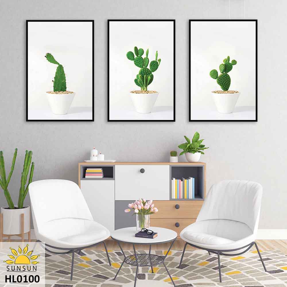 Bộ 3 Tranh Canvas Chậu Cây Xương Rồng-Cactus Pots | HL0100