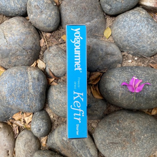 Men làm sữa chua Kefir yogourment 18gr