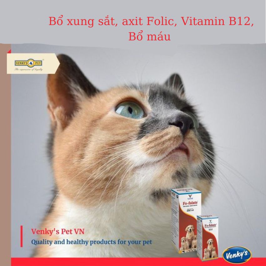 Bổ máu Fe-Folate bổ sung cho chó mèo Sắt, axit Folic, Vitamin B12 hàng nhập khẩu