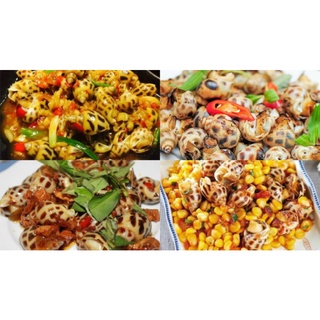 Ốc Hương size Trung ( 20-22c/khay 500gr) -giao hàng 40p