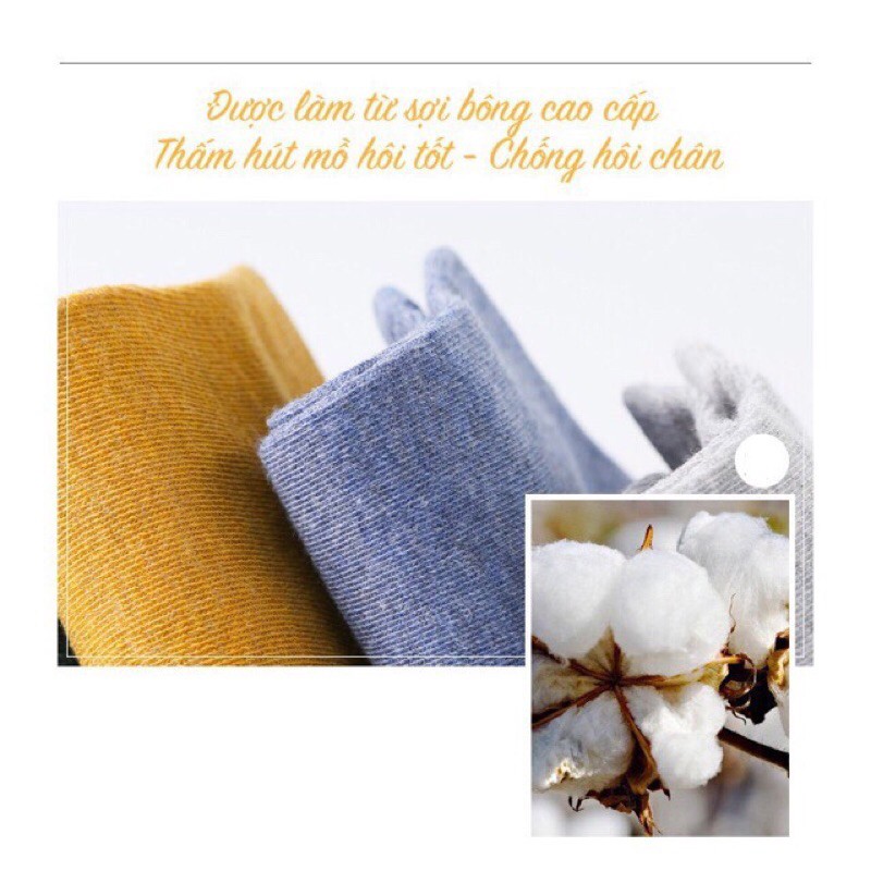 Sét 10 đôi tất cổ ngắn đa sắc chống hôi chân