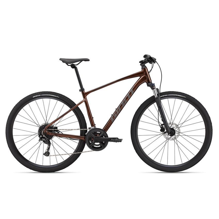 [fREESHIP] Xe Đạp Thể Thao Địa Hình MTB GIANT Roam 2 Disc – Phanh Đĩa, Bánh 700C – 2022