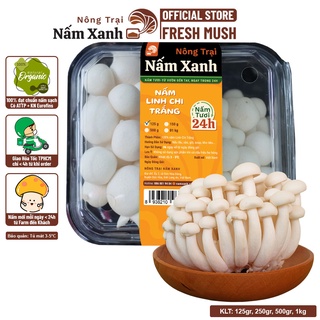 [HCM] Nấm Linh Chi (Ngọc Châm) Trắng Tươi Hộp 125gr 500gr Thơm Ngon Sạch - Nông Trại Nấm Xanh