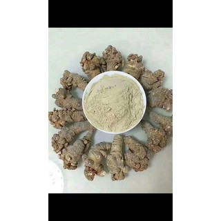 Củ tam thất bắc rẻ nhất thị trường